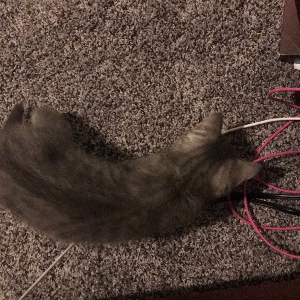 Meet your Posher, Christina